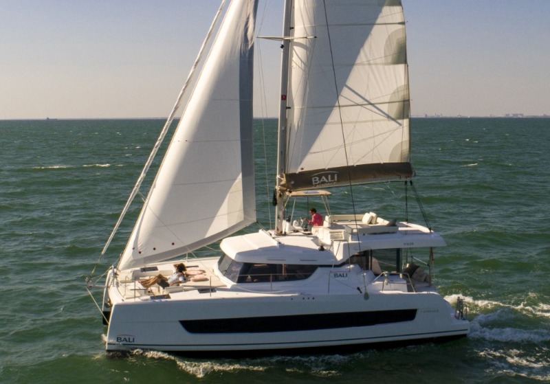 Discover Bali Catspace